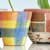 Make Your Own Plant Pots